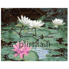 Maalaa numeroilla KTMK-36303