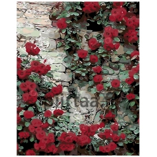 Maalaa numeroilla KTMK-36379