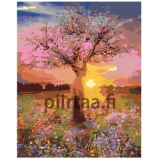 Maalaa numeroilla KTMK-37666