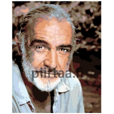 Maalaa numeroilla KTMK-388822