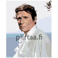 Maalaa numeroilla KTMK-388823