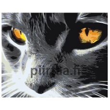 Maalaa numeroilla KTMK-39361