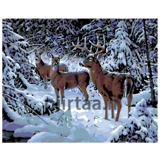 Maalaa numeroilla KTMK-39963