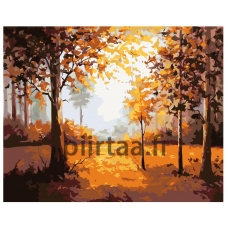 Maalaa numeroilla KTMK-430001