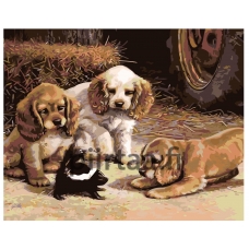 Maalaa numeroilla KTMK-43531