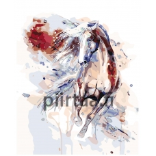 Maalaa numeroilla KTMK-486633