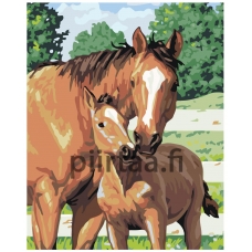 Maalaa numeroilla KTMK-52879