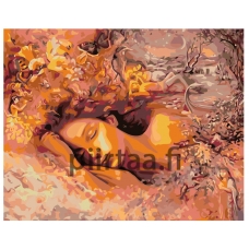 Maalaa numeroilla KTMK-53554