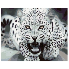 Maalaa numeroilla KTMK-57945