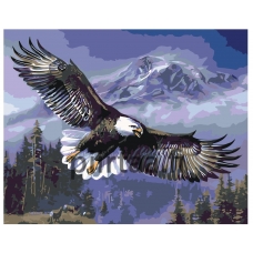 Maalaa numeroilla KTMK-60370