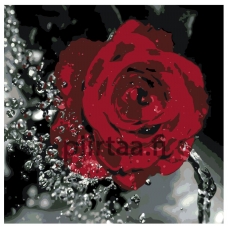 Maalaa numeroilla KTMK-62273