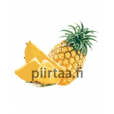 Maalaa numeroilla KTMK-64488