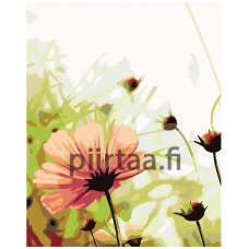 Maalaa numeroilla KTMK-69536