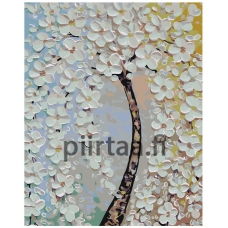 Maalaa numeroilla KTMK-775265