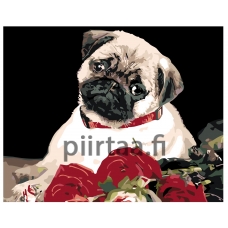 Maalaa numeroilla KTMK-78528