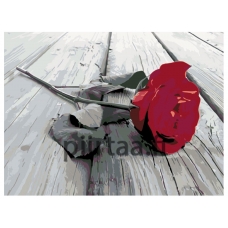 Maalaa numeroilla KTMK-79797