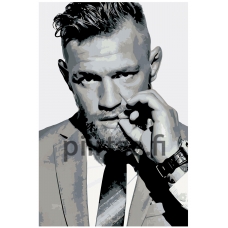 Maalaa numeroilla KTMK-803247