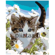 Maalaa numeroilla KTMK-84700