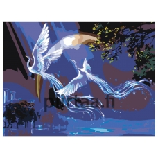 Maalaa numeroilla KTMK-Fenixove1