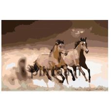 Maalaa numeroilla KTMK-KVB011