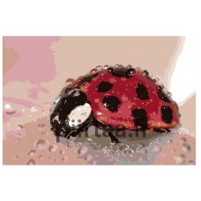 Maalaa numeroilla KTMK-beruska012