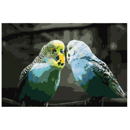Maalaa numeroilla KTMK-birds012