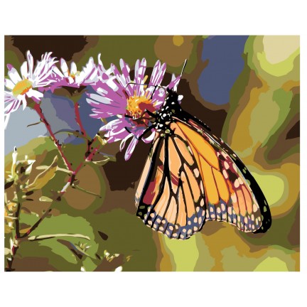 Maalaa numeroilla KTMK-butterfly01