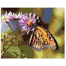 Maalaa numeroilla KTMK-butterfly01