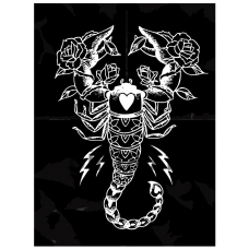 Maalaa numeroilla KTMK-scorpio02