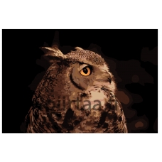 Maalaa numeroilla KTMK-sova011