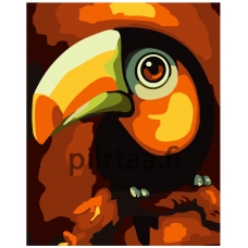 Maalaa numeroilla KTMK-tucan