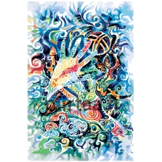 Maalaa numeroilla KZ05