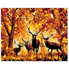 Maalaa numeroilla LA16