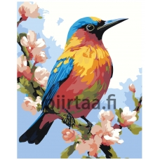 Maalaa numeroilla LID-107