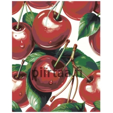 Maalaa numeroilla LIO-098