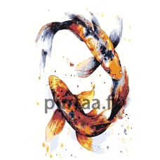 Maalaa numeroilla NA-koi1