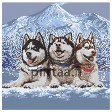 Maalaa numeroilla NA-semikinikafeb5