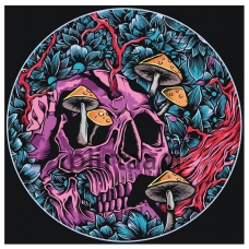 Maalaa numeroilla NA-skullzz1