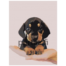 Maalaa numeroilla NEGV-zlit090919V3-1-3040