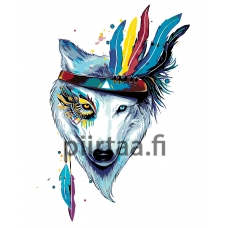 Maalaa numeroilla PA108