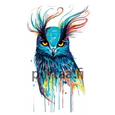 Maalaa numeroilla PA127