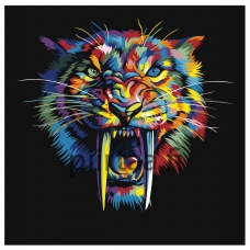 Maalaa numeroilla PA134