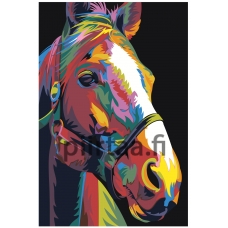 Maalaa numeroilla PA138