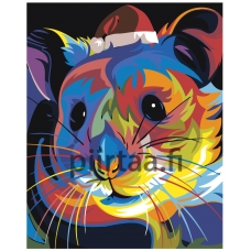 Maalaa numeroilla PA13