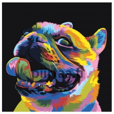 Maalaa numeroilla PA141