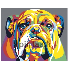 Maalaa numeroilla PA156