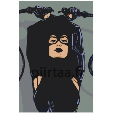 Maalaa numeroilla PA170