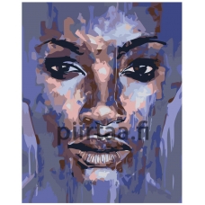 Maalaa numeroilla PA174