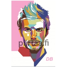 Maalaa numeroilla PA176