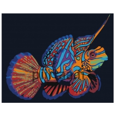 Maalaa numeroilla PA202